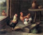 unknow artist poultry  161 oil painting picture wholesale